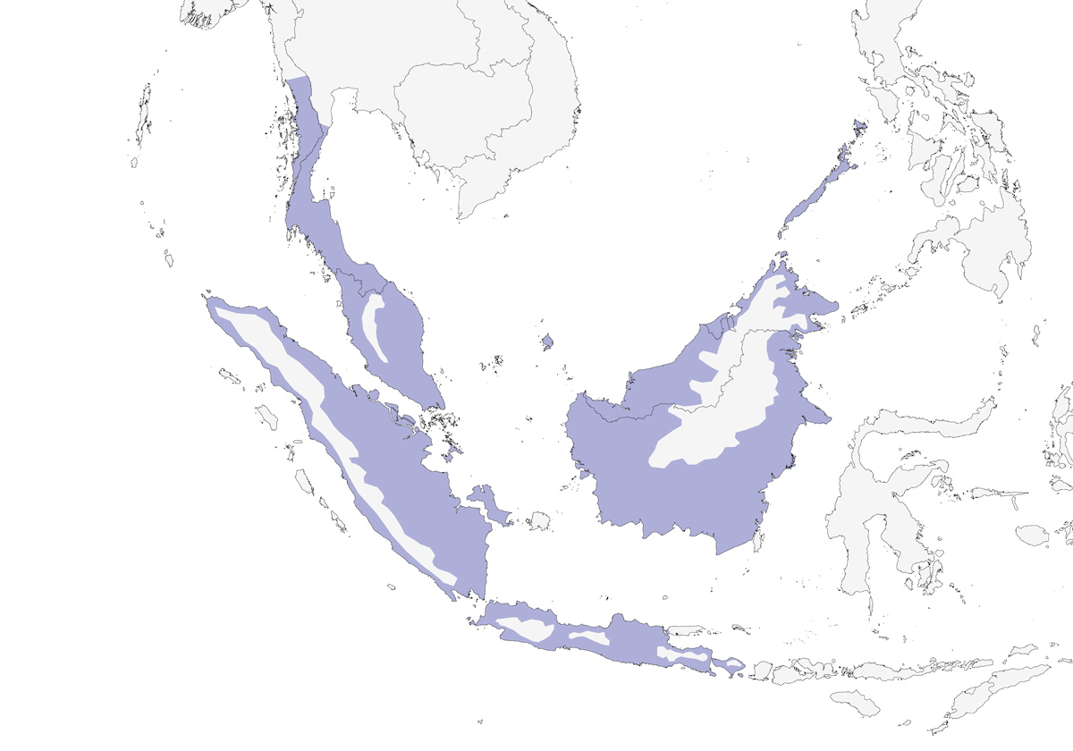 Malkoha dal petto castano, Distribuzione 1