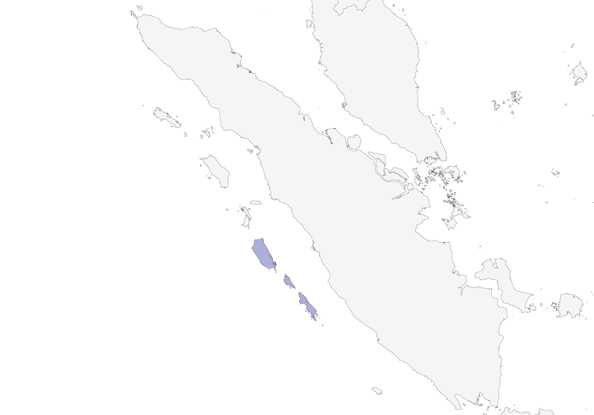 Malcoha di Mentawai, Distribuzione 1