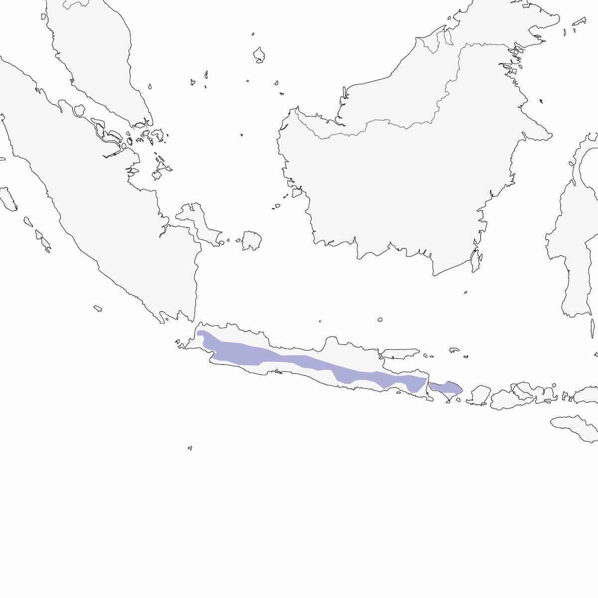 Javan Scimitar-Babbler, 分布 1