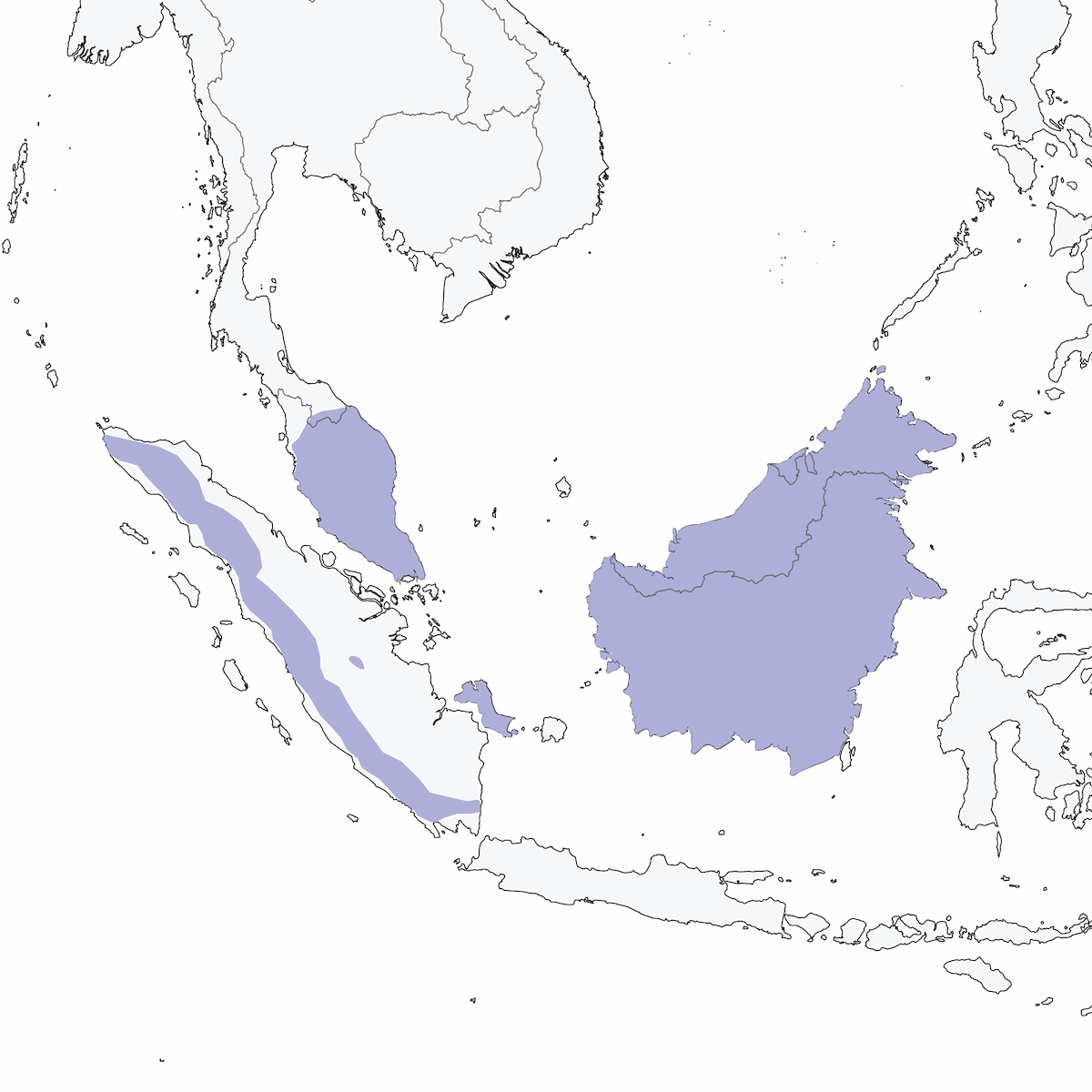 Sunda Scimitar-Babbler, Distribution 1