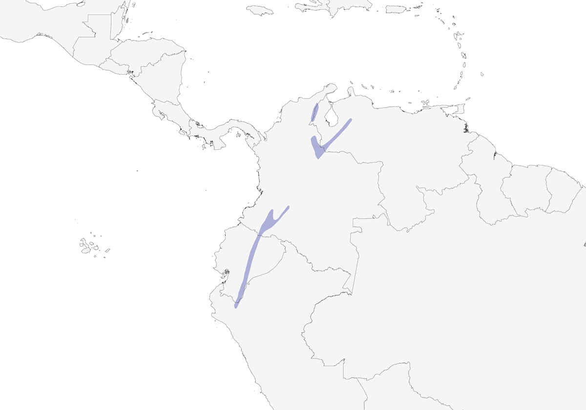 Zorzal de Vientre Castaño, Distribución 1