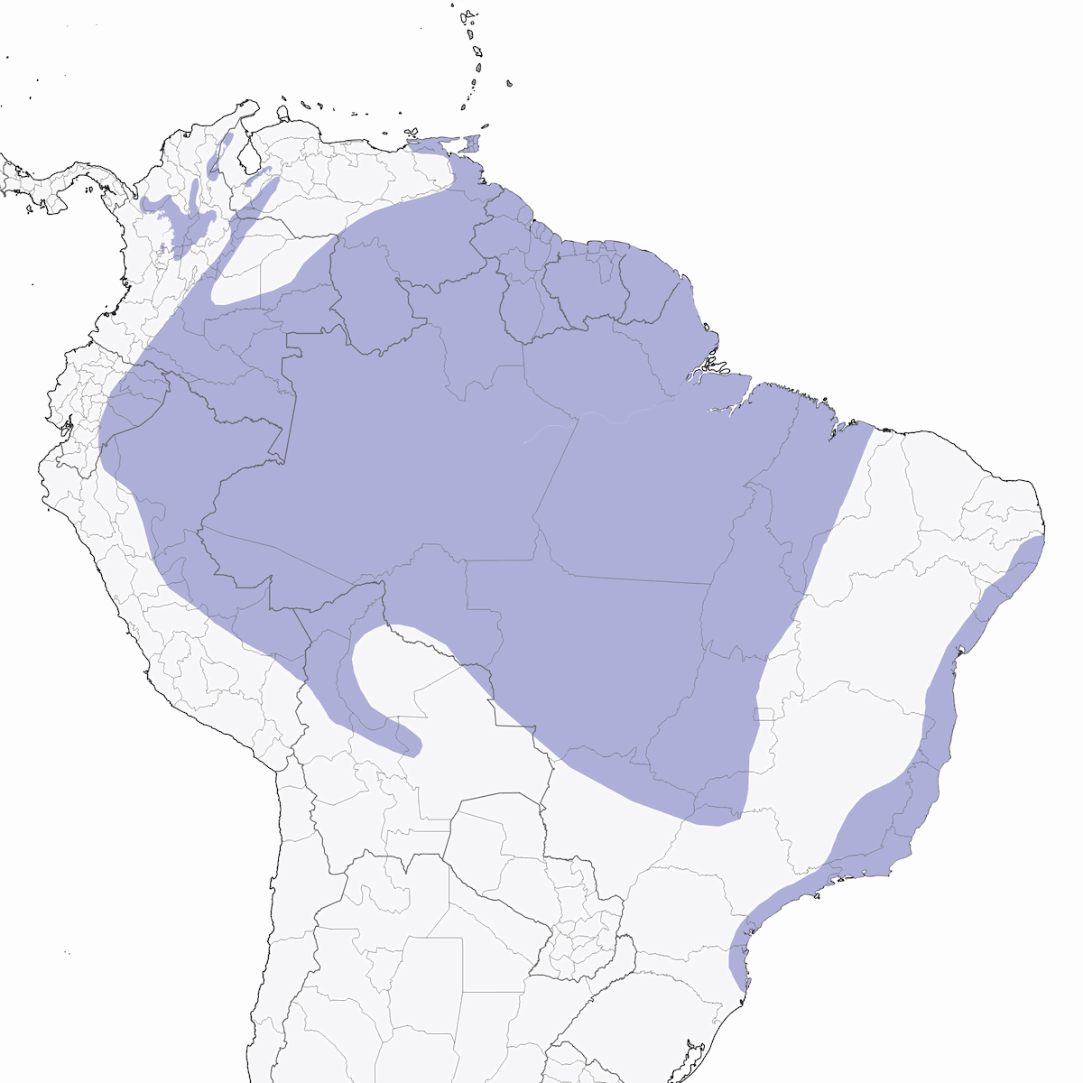 Tucano scanalato, Distribuzione 1