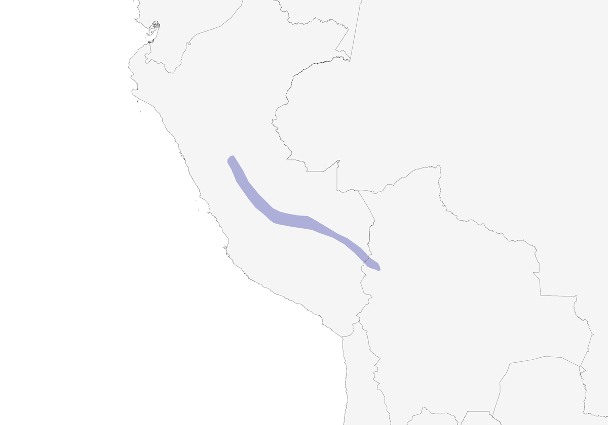 Chochín pechicastaño meridional, Distribución 1