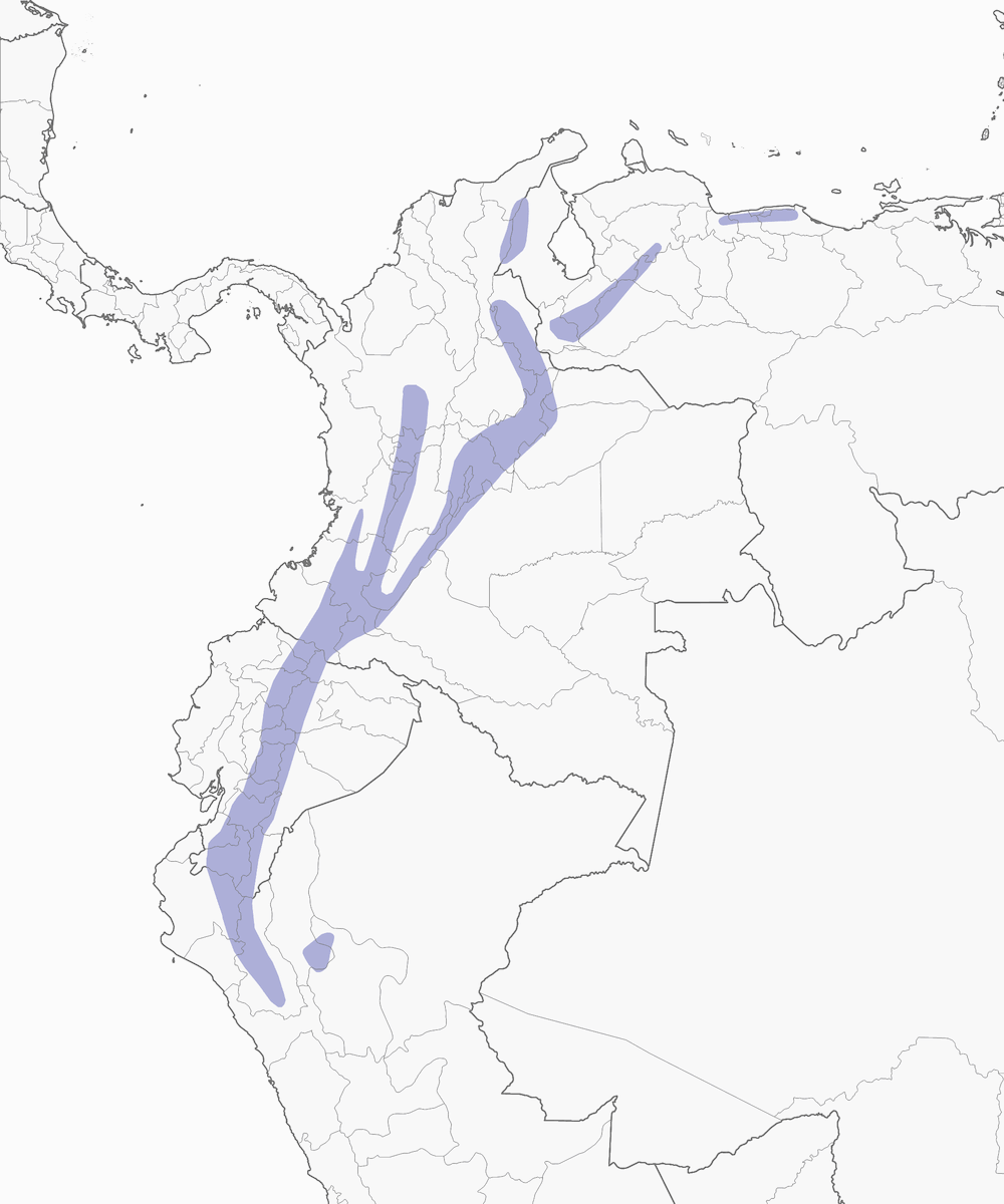 Formicario dalla corona castana, Distribuzione 1