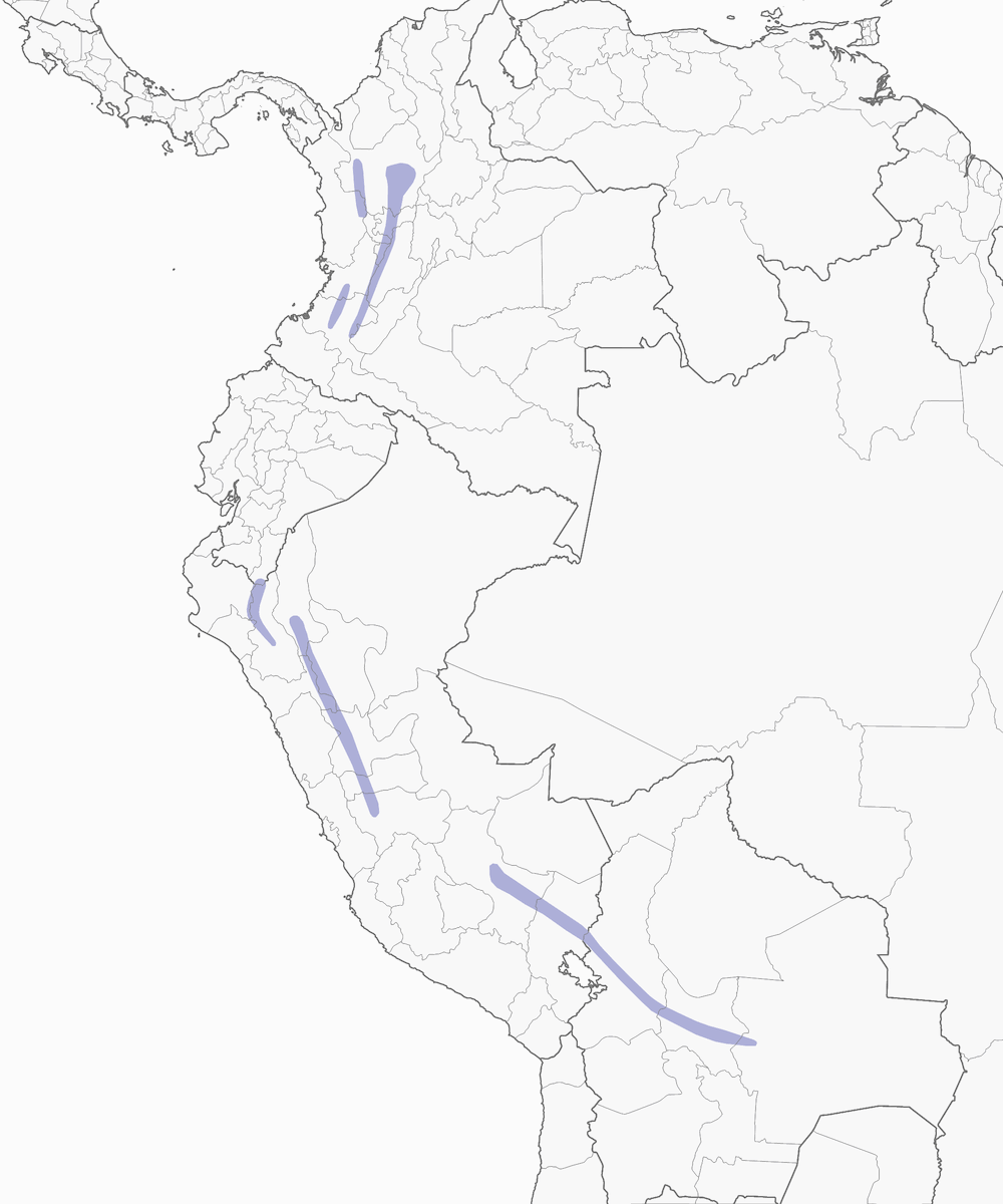 Cotinga dalla cresta castana, Distribuzione 1