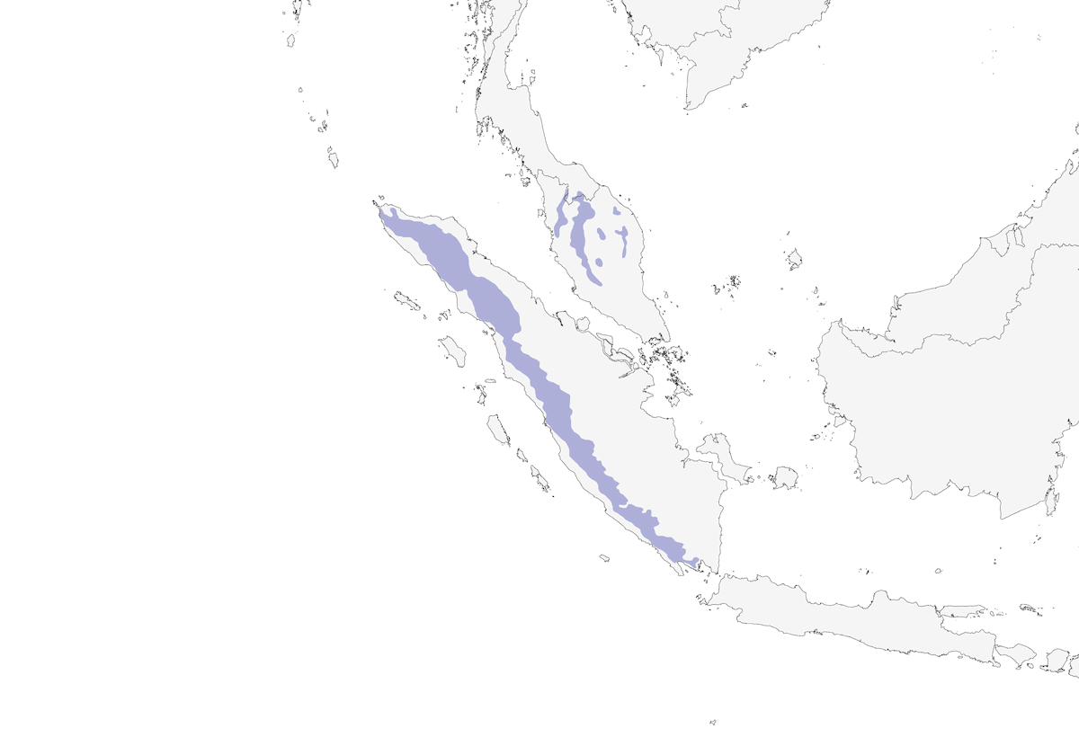 Garrulaxe mitré, Distribution 1