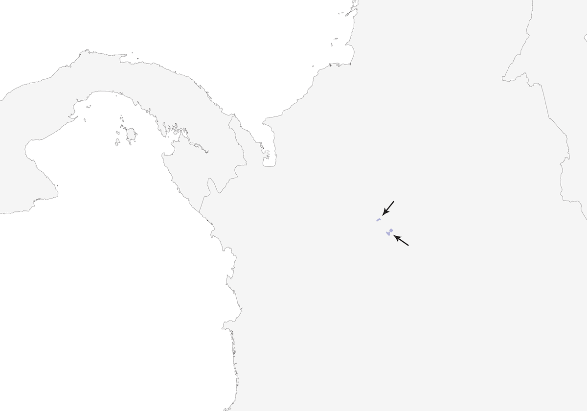 Piha à calotte rousse, Distribution 1