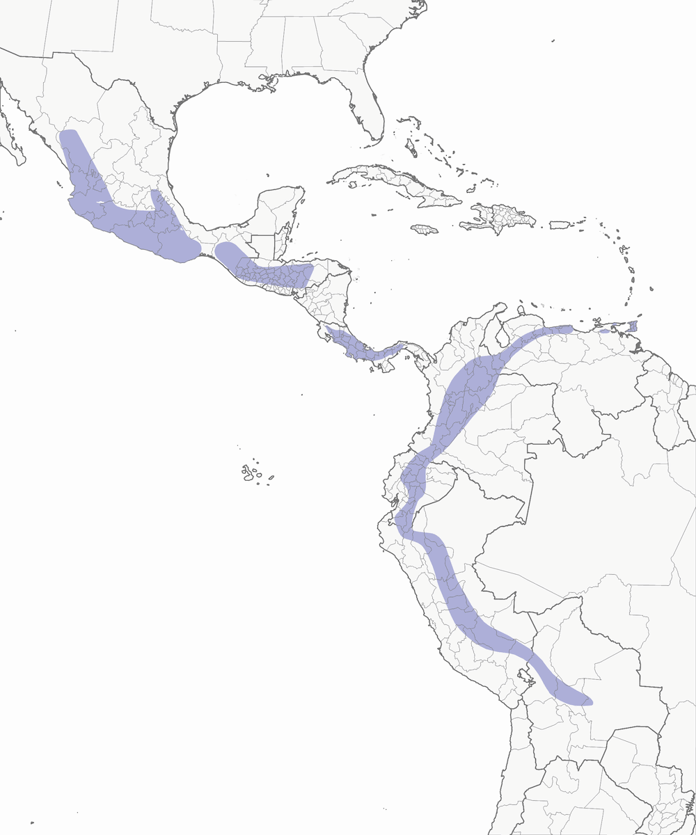 Chestnut-collared Swift, Distribution 1