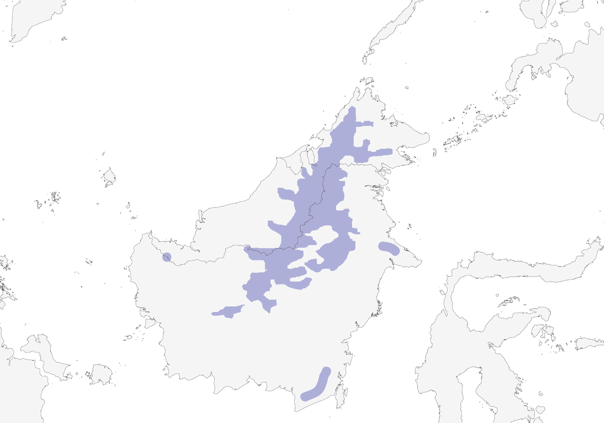 Yuhina de Cresta Castaña, Distribución 1