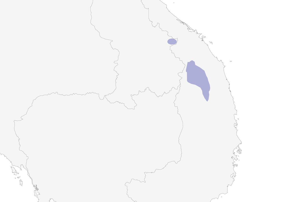 Garrulo orecchiecaste, Distribuzione 1