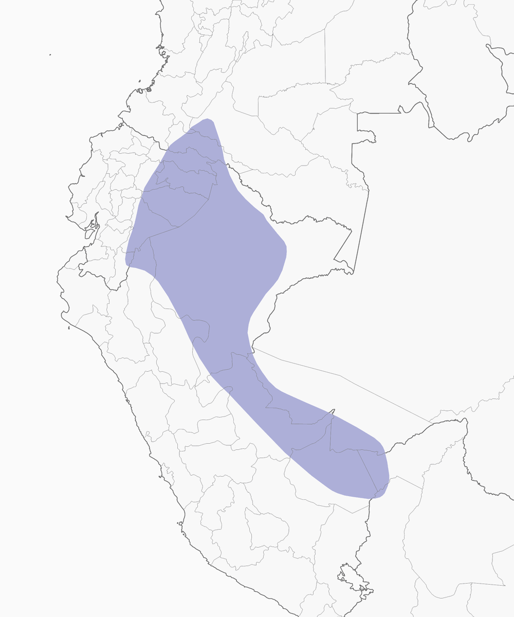 Polluela Cabecicastaña, Distribución 1