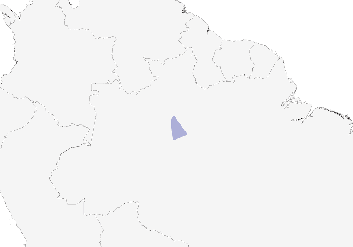 Chestnut-headed Nunlet, Distribution 1