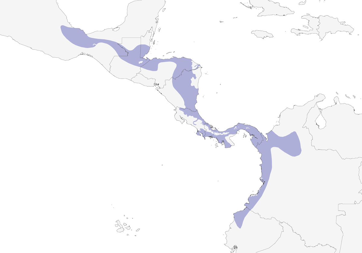Oropéndola cabecicastaña, Distribución 1