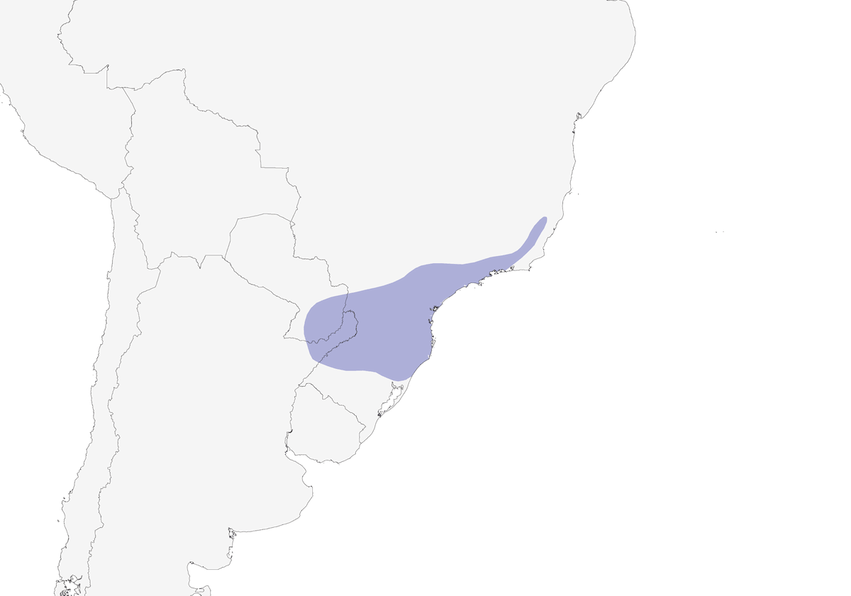 Chestnut-headed Tanager, Distribution 1