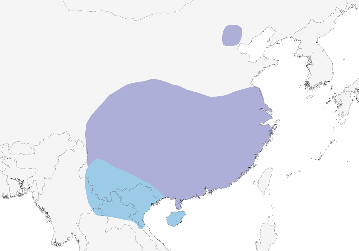 Chinese Blackbird, 分布 1