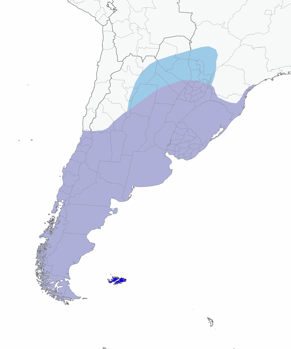 Caracara chimango, Distribution 1