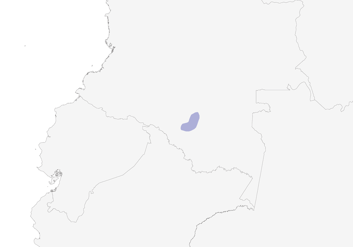Chiribiquete Emerald, Distribution 1