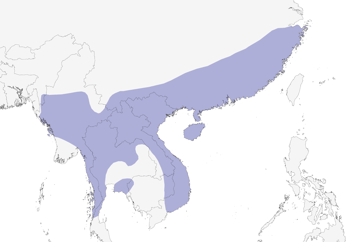 Francolin de Chine, Distribution 1
