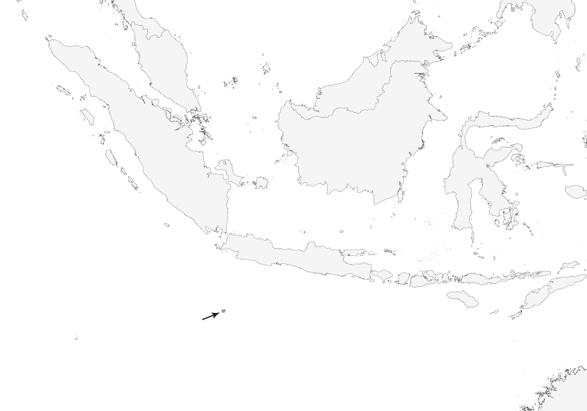 Nínox de la Isla de Navidad, Distribución 1