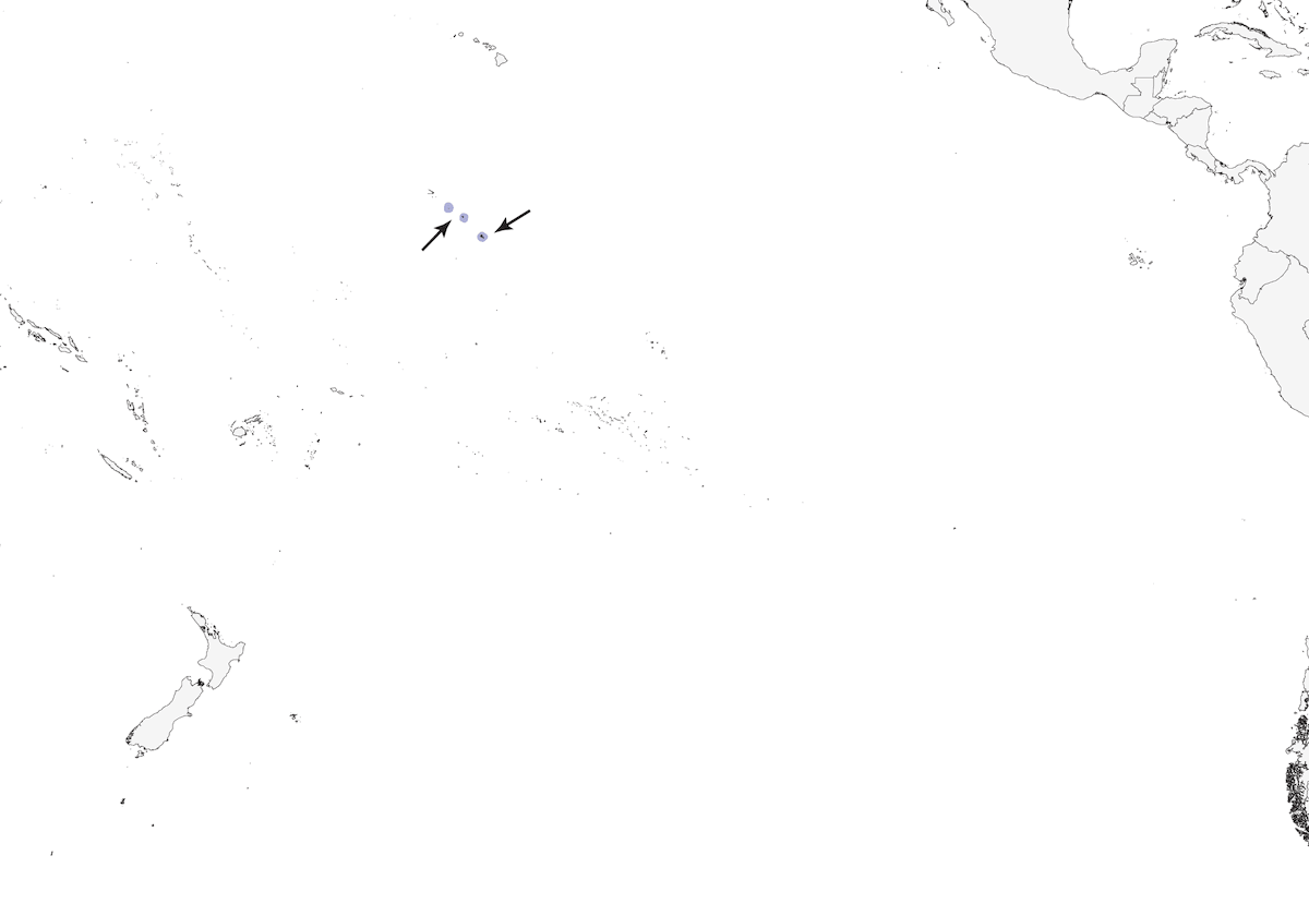Kiritimati Reed Warbler, 分布 1