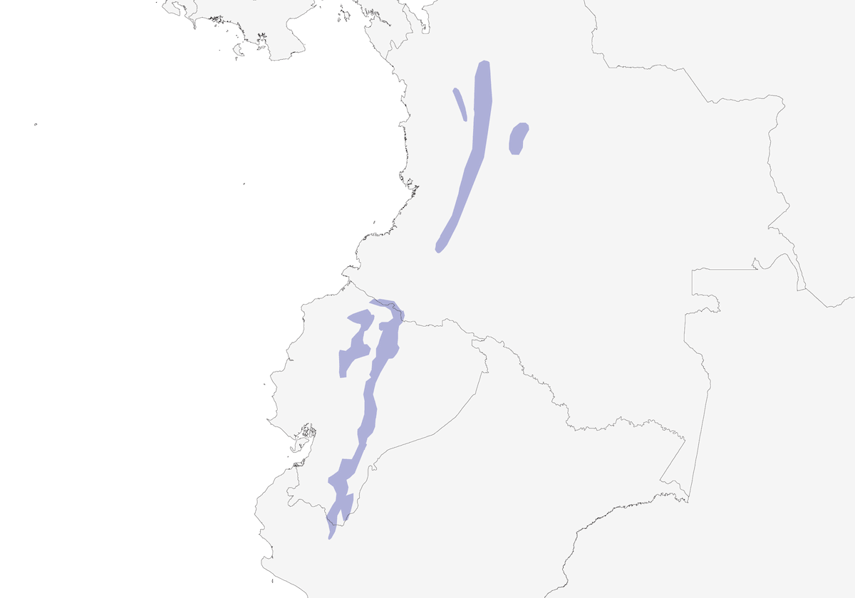 Chestnut-naped Antpitta, Distribution 1
