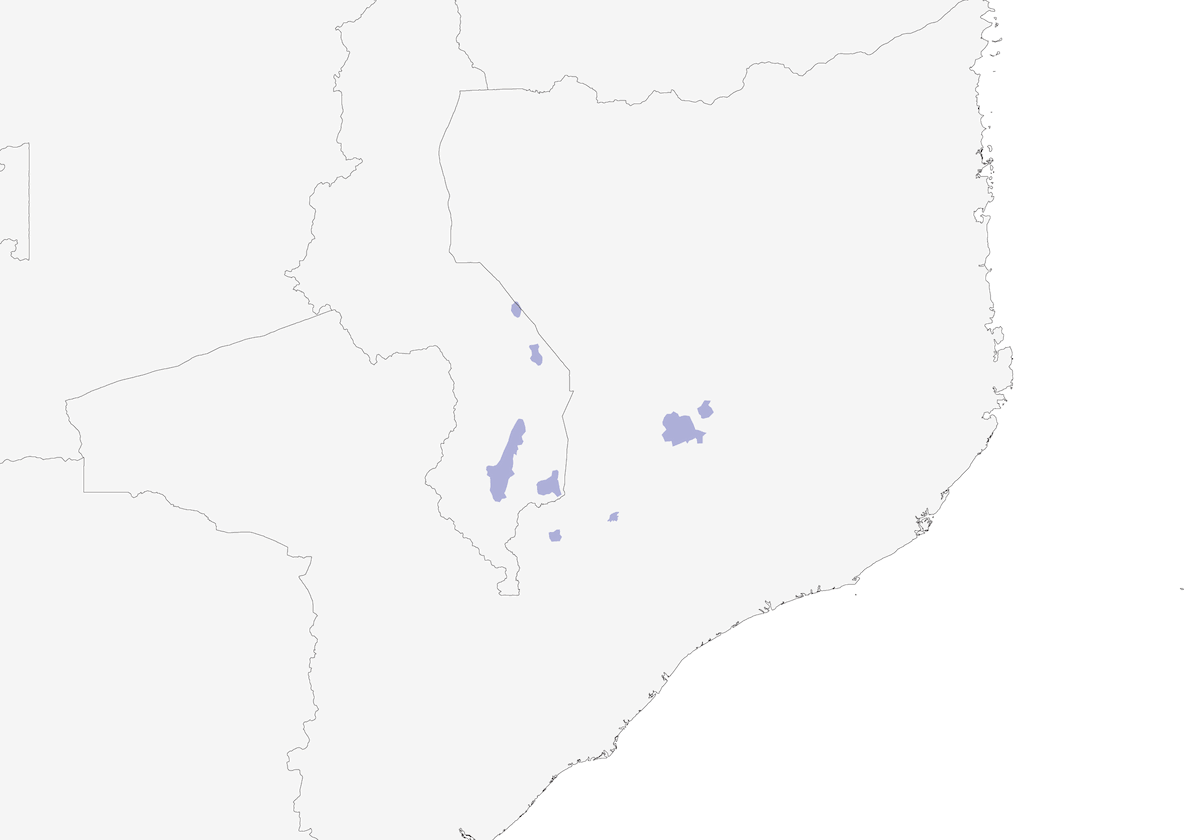 Aleto de Thyolo, Distribución 1