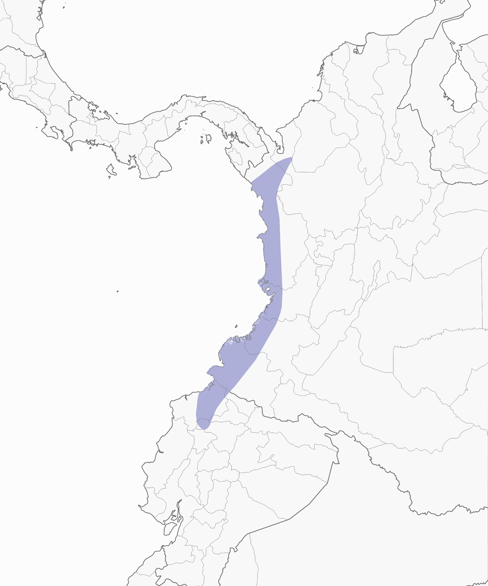 Chocó-Nachtschwalbe, Verbreitung 1