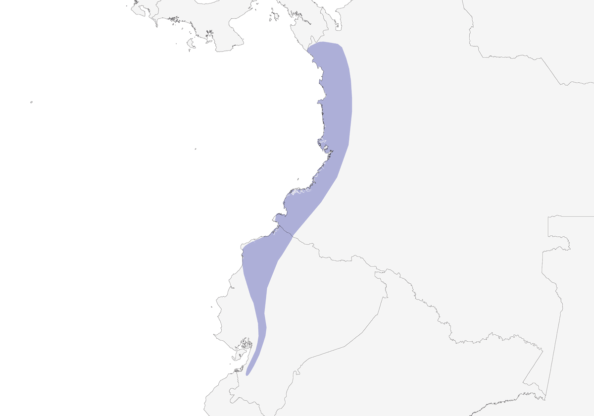 Toucan du Chocó, Distribution 1