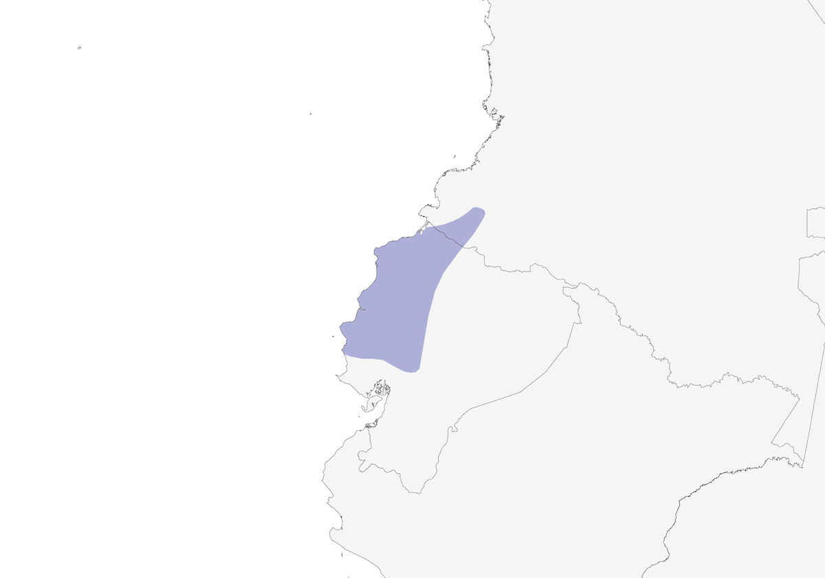 Tiranuelo del Chocó, Distribución 1