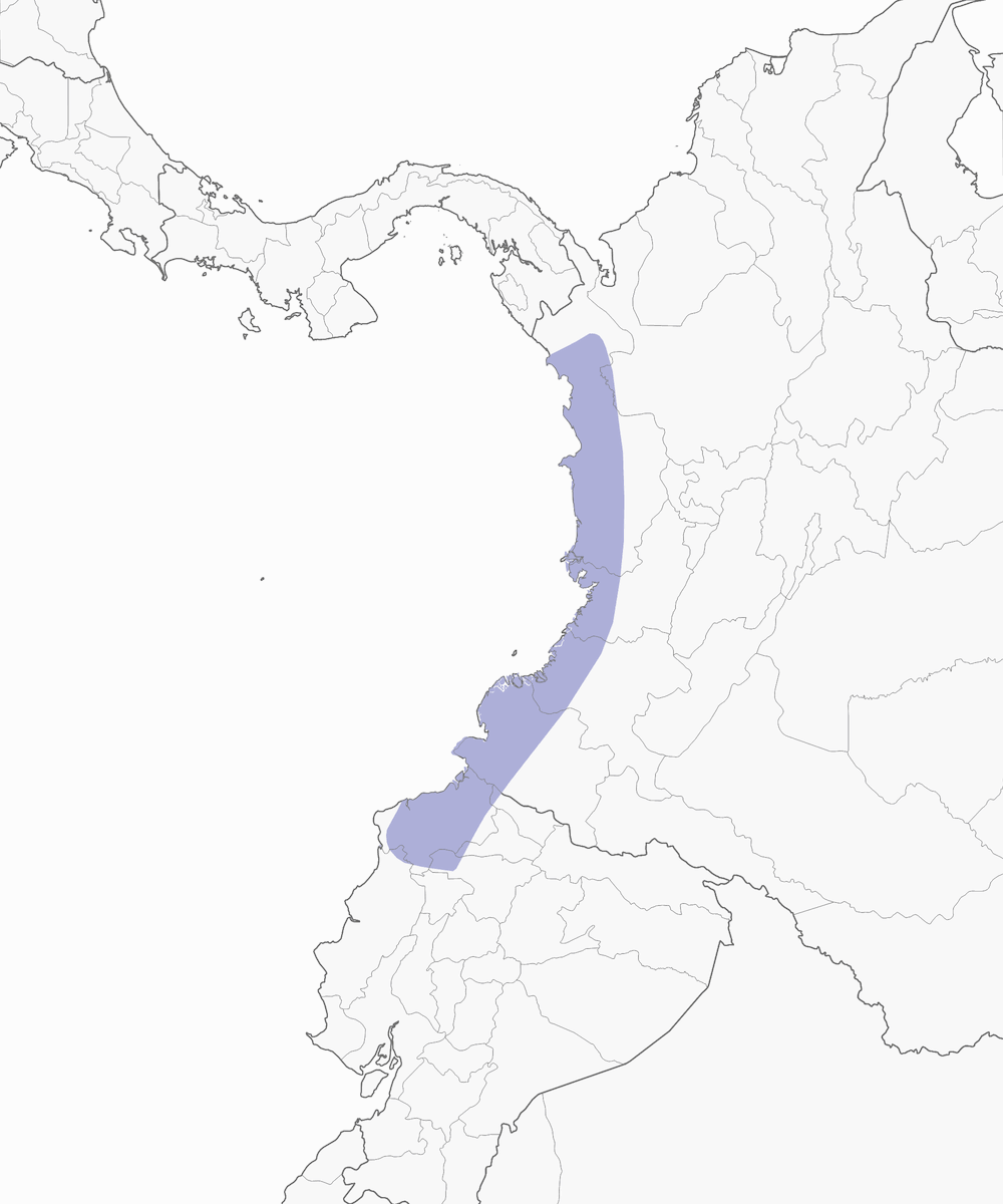Picchio del Chocó, Distribuzione 1