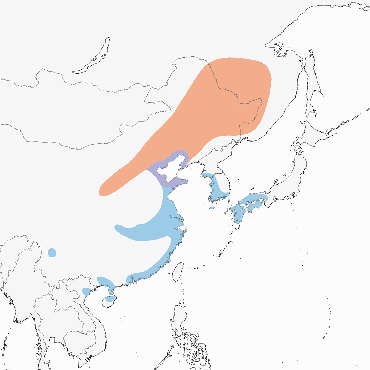 Chinese Penduline-Tit, Distribution 1