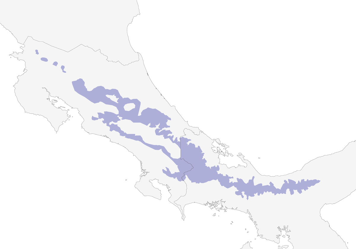 Chiriqui Quail-Dove, Distribution 1