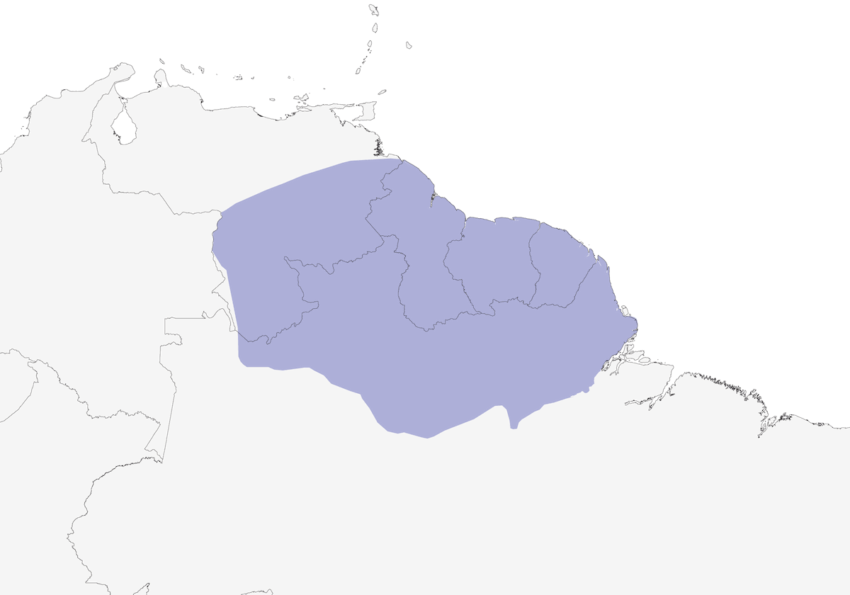 Chestnut-rumped Woodcreeper, Distribution 1