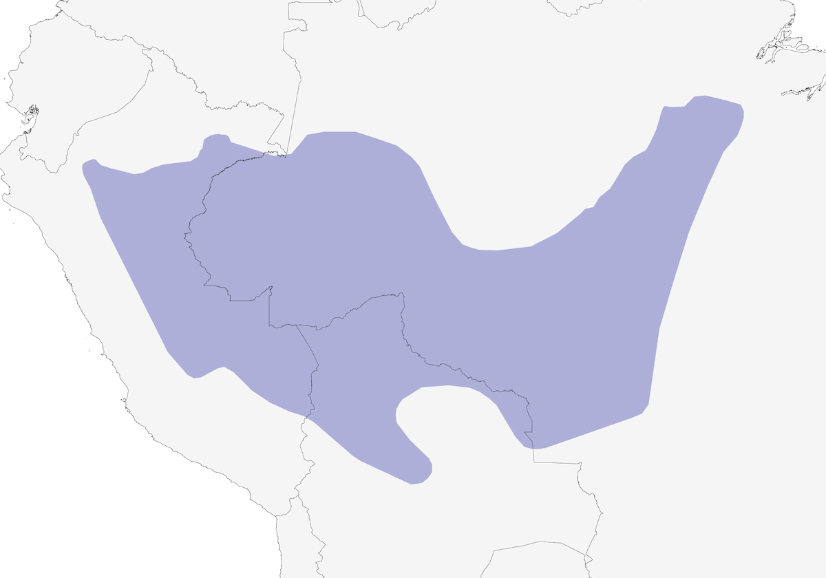Formicario codacastana, Distribuzione 1