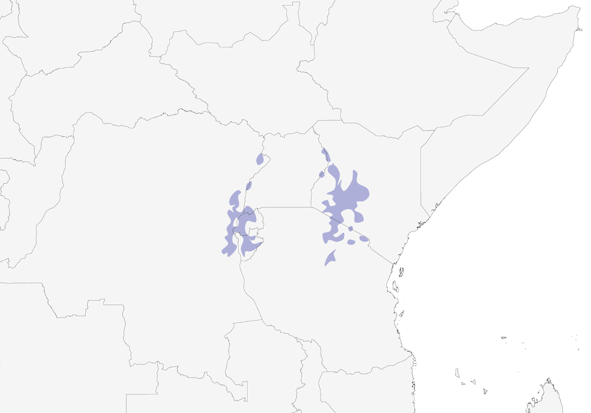 Apalide gola castana, Distribuzione 1