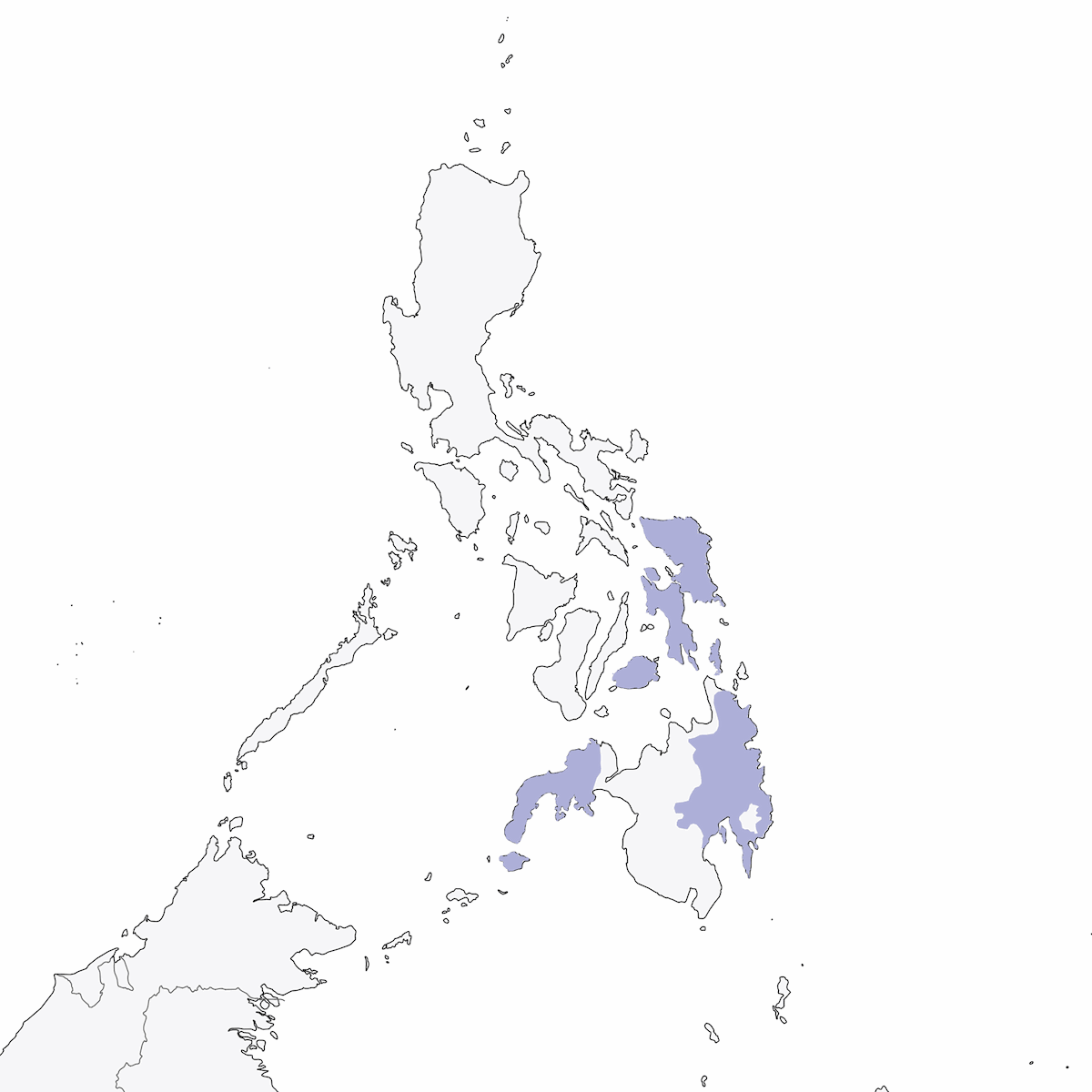 Philippine Jungle Flycatcher, 分布 1
