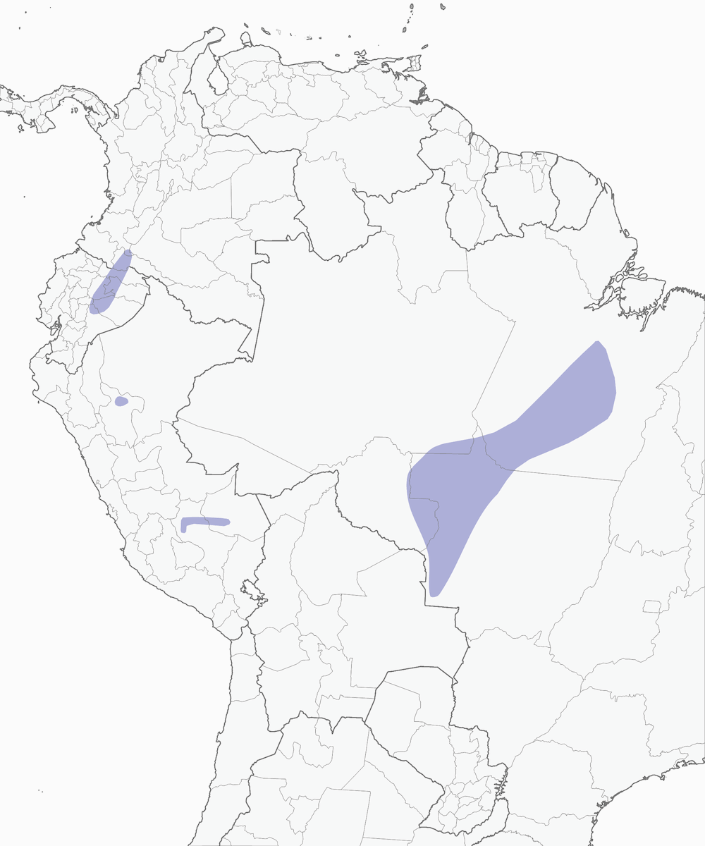 Chestnut-throated Spinetail, Distribution 1