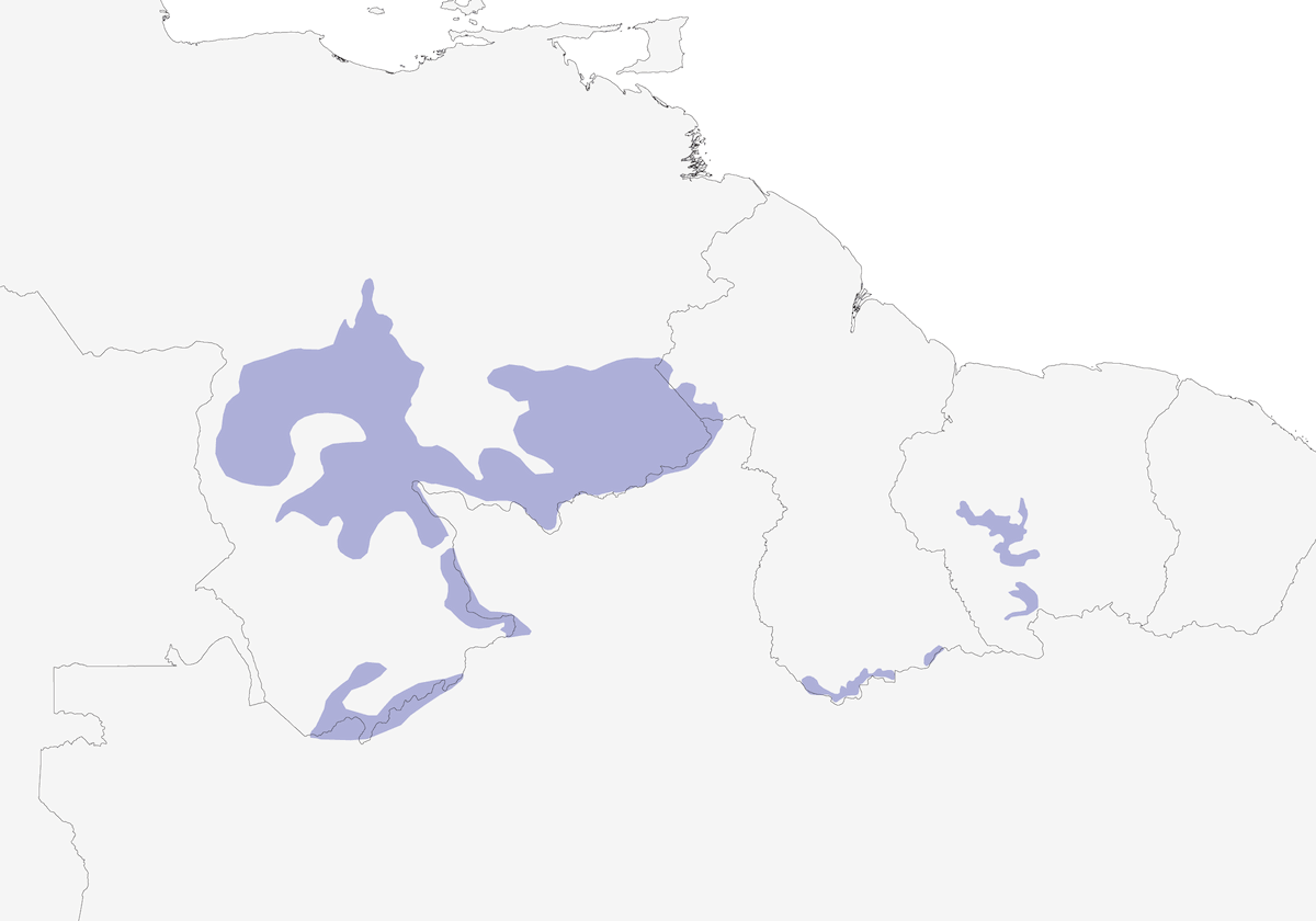 Tucancito del Tepuy, Distribución 1