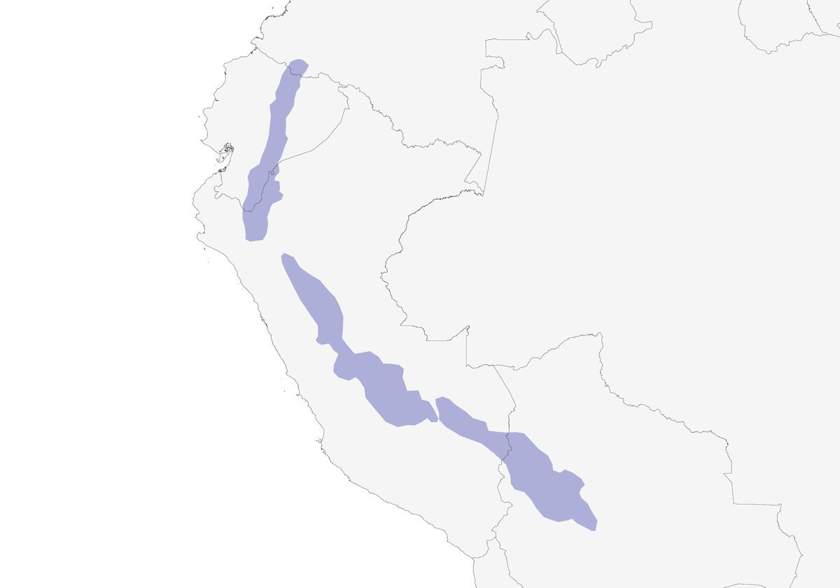 Toucanet à bec tacheté, Distribution 1