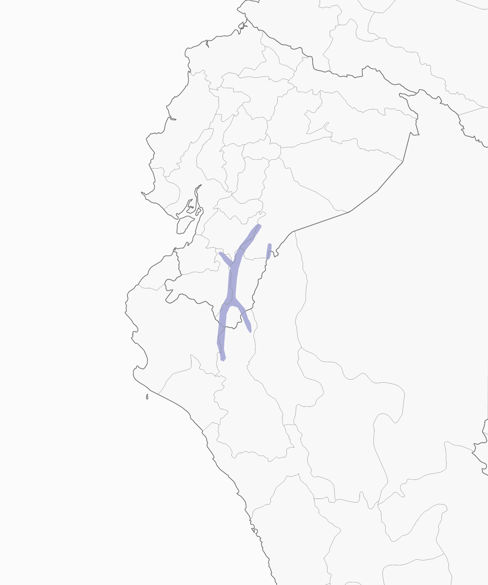 Chusquea Tapaculo, 分布 1