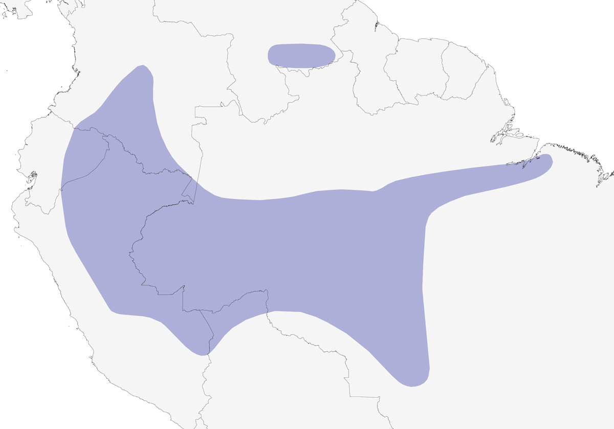 Fogliarolo ali castane, Distribuzione 1