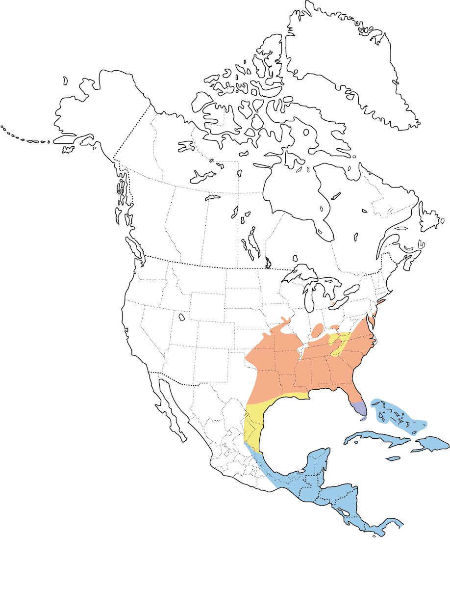 Chuck-will's-widow, Distribution 1