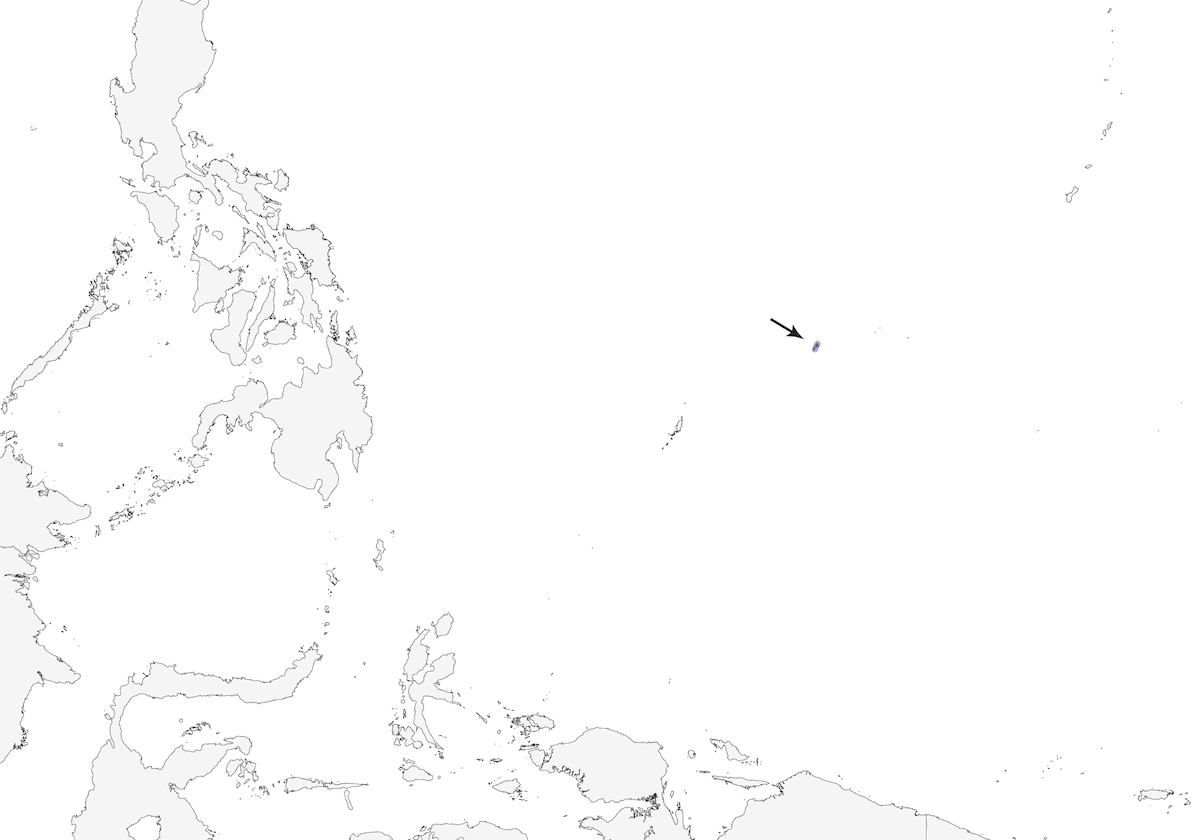 Oruguero de Yap, Distribución 1