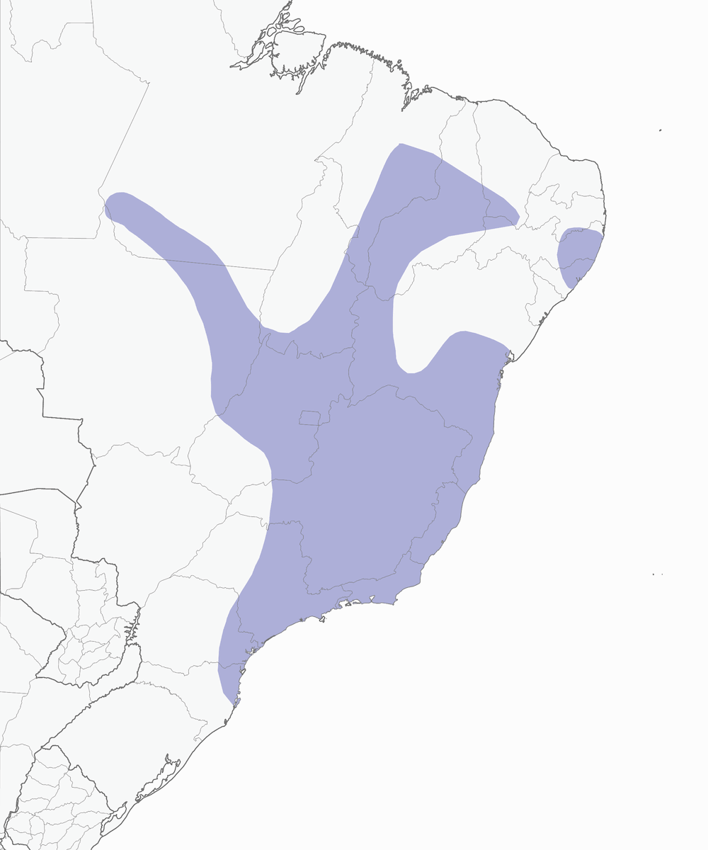 Tanagra cannella, Distribuzione 1