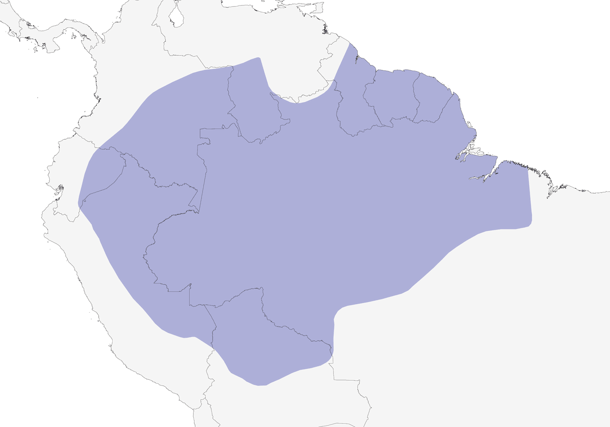 Tinamù cinerino, Distribuzione 1