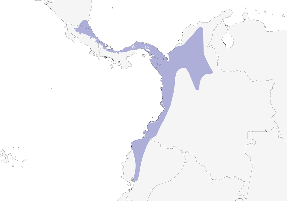 Carpintero Canela, Distribución 1