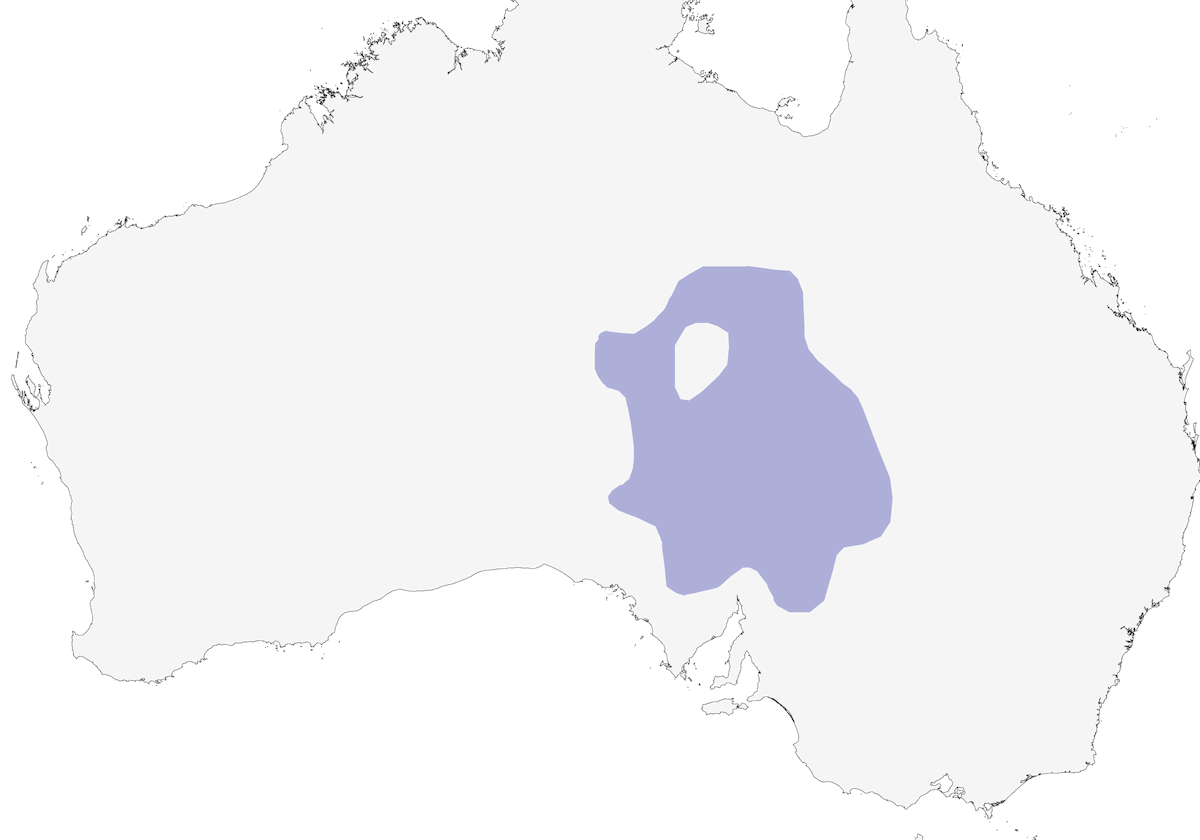 Tordo-quaglia cannella, Distribuzione 1