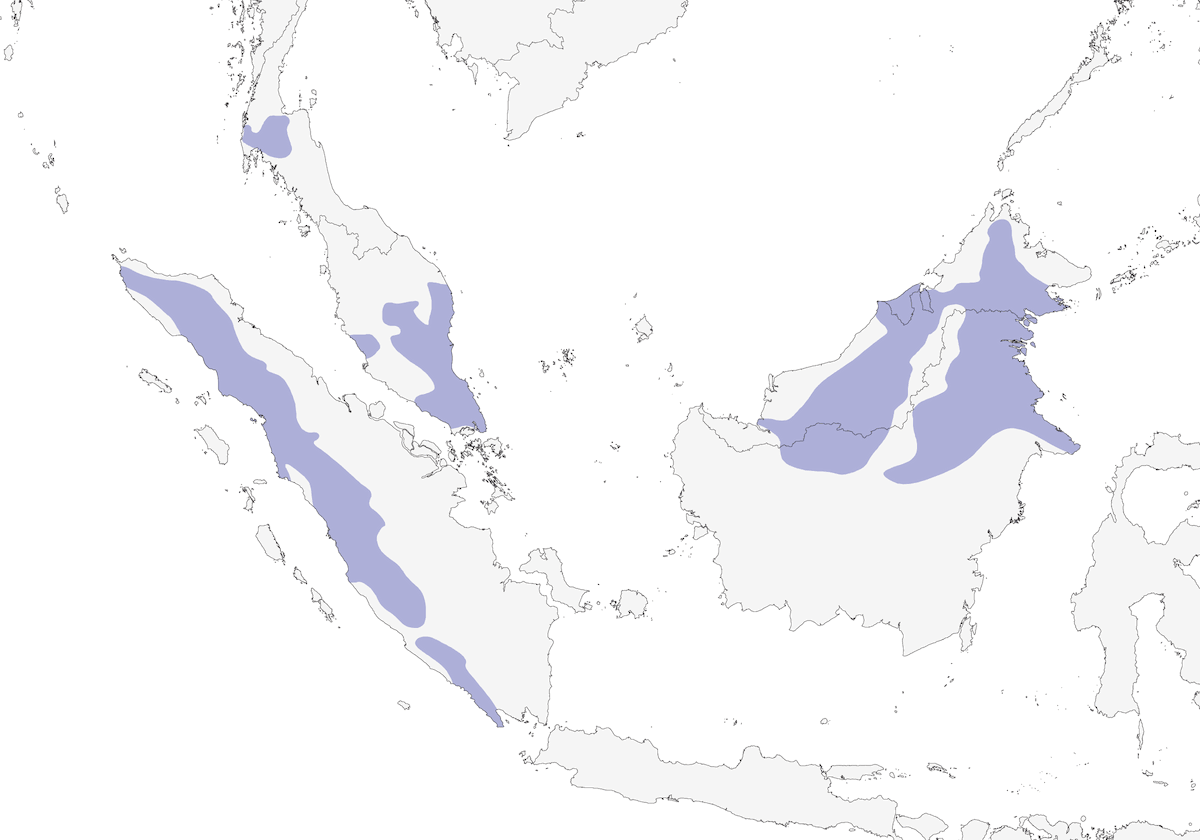 Cinnamon-rumped Trogon, Distribution 1