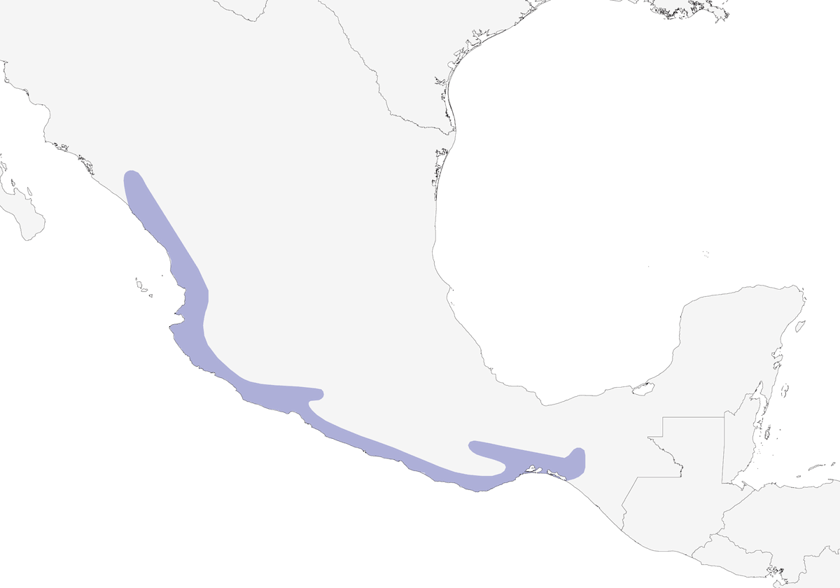 Trogone citrino, Distribuzione 1