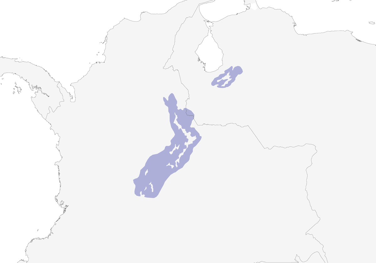 Coppery-bellied Puffleg, Distribution 1